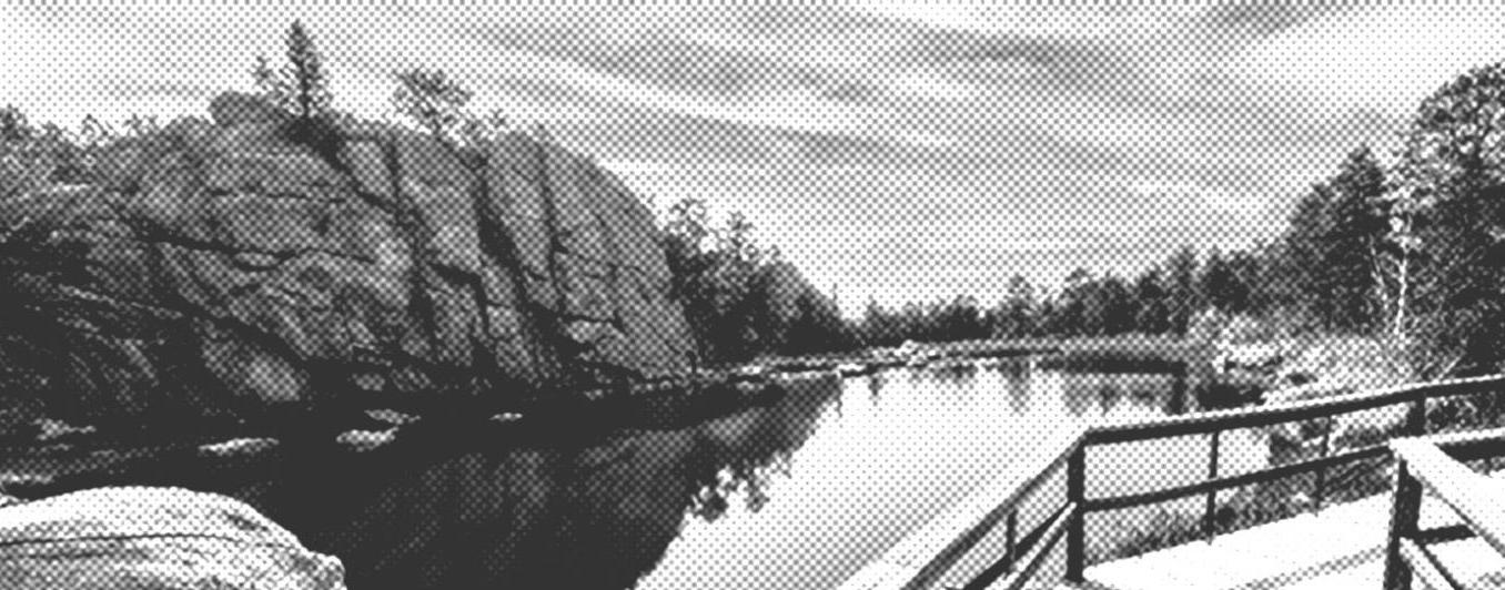 lake with walkway B&W halftone filter