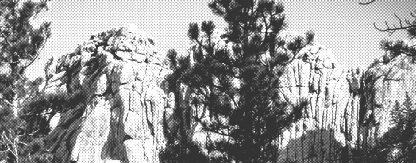 trees and mountains with B&W halftone filter