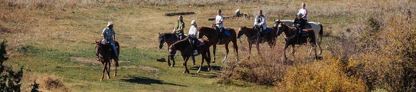 people riding horses